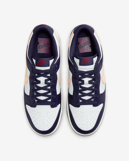 Nike Dunk Low Retro Bleu / coco