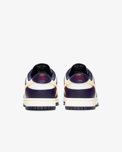 Nike Dunk Low Retro Bleu / coco